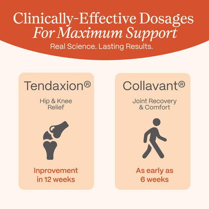 Rejuveen Osteva Joint Support Supplement for Women | High Potency Collagen, Turmeric, Boswellia | for Flexible Cartilage & Tendons, - Maple Wellness Supplements