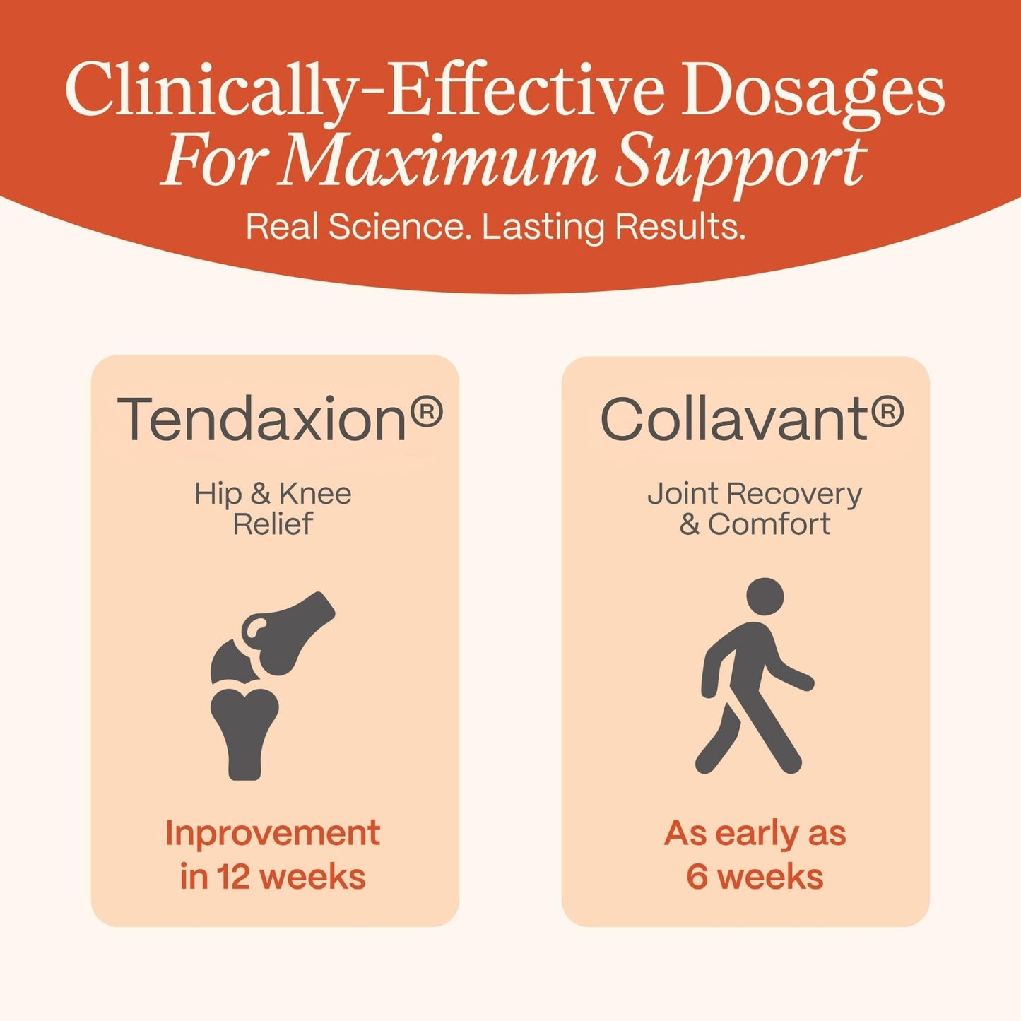 Rejuveen Osteva Joint Support Supplement for Women | High Potency Collagen, Turmeric, Boswellia | for Flexible Cartilage & Tendons, Resilient Knees & Hip, Improved Mobility | Non-GMO, 60 Ct - Maple Wellness Supplements