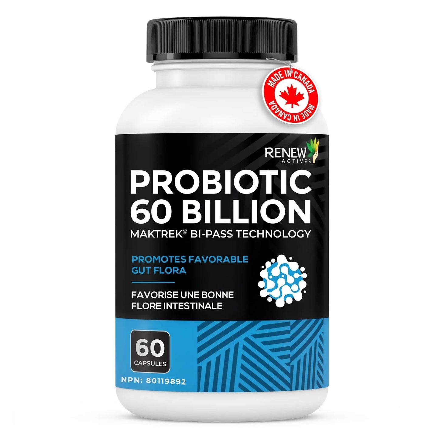 Renew Actives Probiotic Supplement for Digestive Health 60 Billion CFU per 2 Capsules - Advanced Formula with Prebiotic Benefits - Supports Gut Flora Balance & Wellness - Made in Canada - 60 Capsules - Maple Wellness Supplements