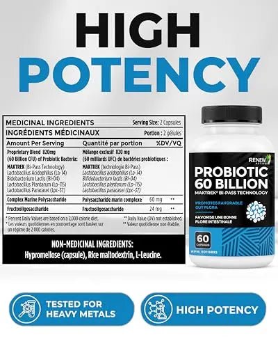 Renew Actives Probiotic Supplement for Digestive Health 60 Billion CFU per 2 Capsules - Advanced Formula with Prebiotic Benefits - Supports Gut Flora Balance & Wellness - Made in Canada - 60 Capsules - Maple Wellness Supplements