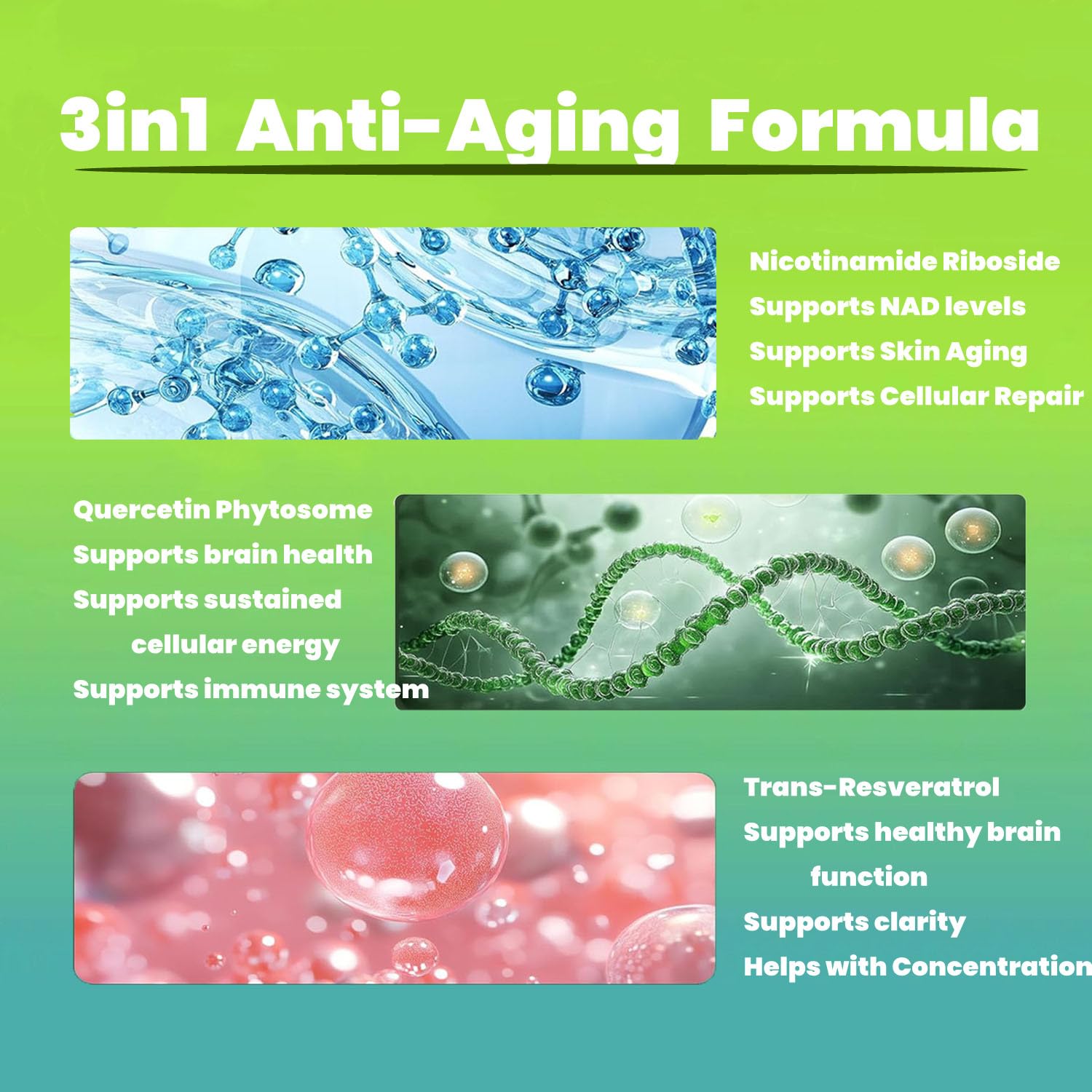 Renyqatt NAD+ Supplement - Liposomal Nicotinamide Riboside - Supplement for Anti-Aging, Energy, Focus - 80 Capsules（1B） - Maple Wellness Supplements