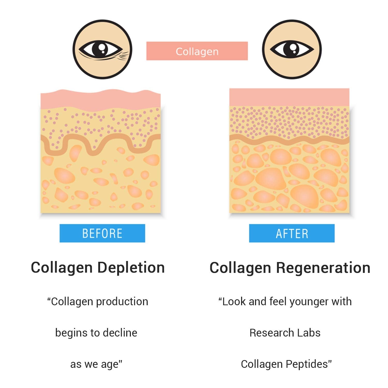Research Labs 2 for 1 Promo 240 Collagen Pills - 6000 mg Per Day. Grass Fed Anti-Aging Support for Skin, Joints, Tendons, Bones, Hair and Nails. - Maple Wellness Supplements