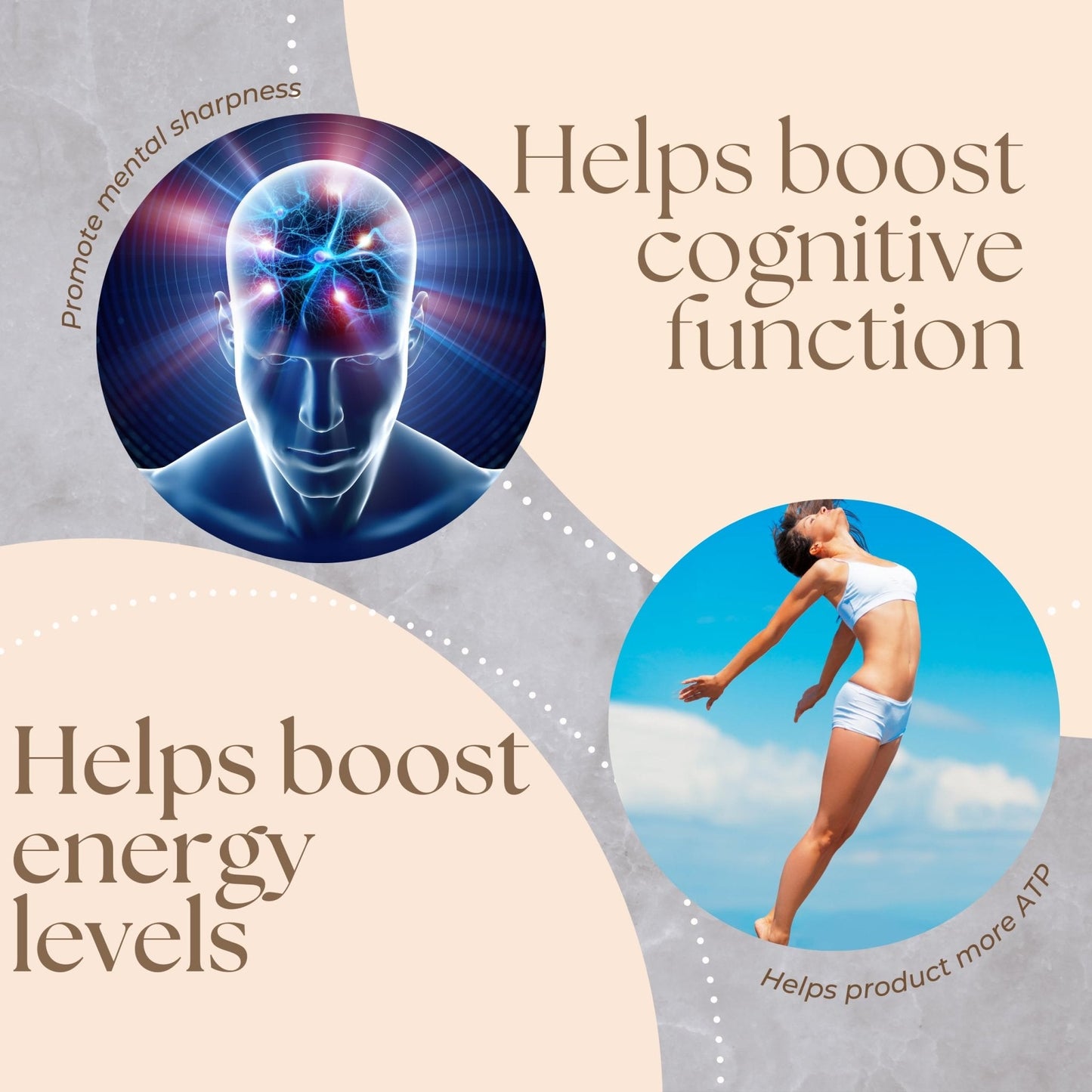 Research Labs NAD+ Supplement 2 for 1 Ad. Proprietary Formula w/Patent Pending RiboYOUNG™. NRF2 Activator, Nicotinamide Riboside, Quercetin, Resveratrol, Betaine. True NAD Supplement Anti Aging… - Maple Wellness Supplements