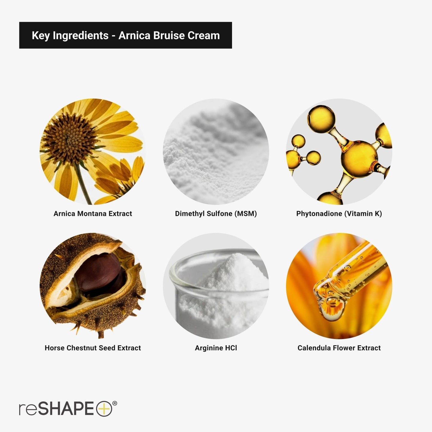 Reshape+ Arnica Bruise Relief Topical Cream For Bruising, Swelling, & Discoloration On Skin, Natural Skin Care Homeopathic Arnica Lotion W/Vitamin K, Horse Chestnut, & Collagen, 8 Fl Oz (2-Pack) - Maple Wellness Supplements