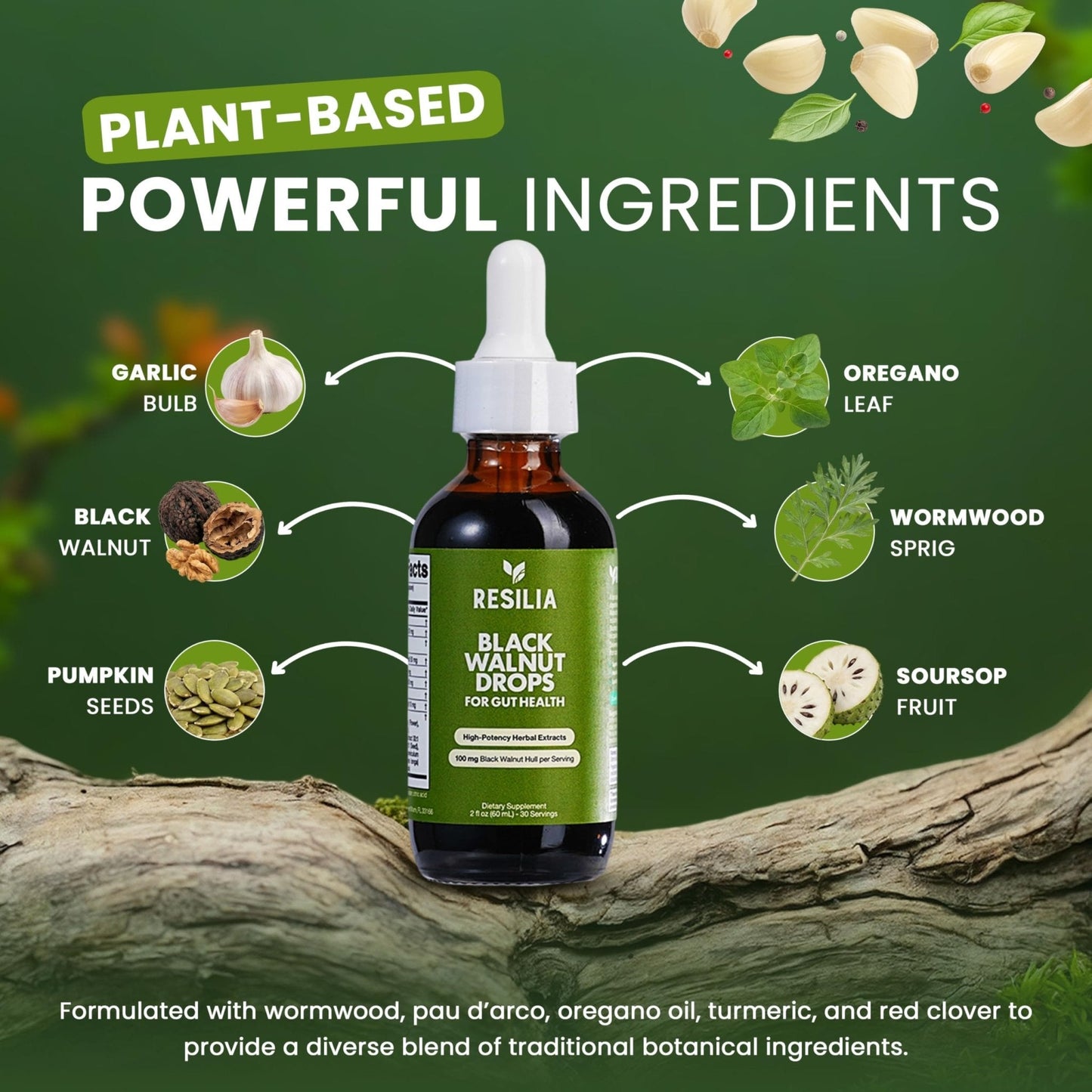 Resilia Herbal Cleanse Liquid Drops – Black Walnut & Wormwood Extract with Pumpkin Seed, Garlic & Turmeric – Alcohol-Free Vegan Tincture for Digestive & Daily Wellness Support, 2 fl oz - Maple Wellness Supplements