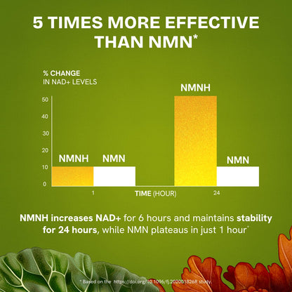 Resurrected Health Liposomal NMNH Supplement 300mg – Boosts NAD Anti-Aging, Energy & Focus – NMM Capsules Alternative to for Cellular Vitality – Third-Party Tested, 60 Vegan Capsules | 1 Pack - Maple Wellness Supplements