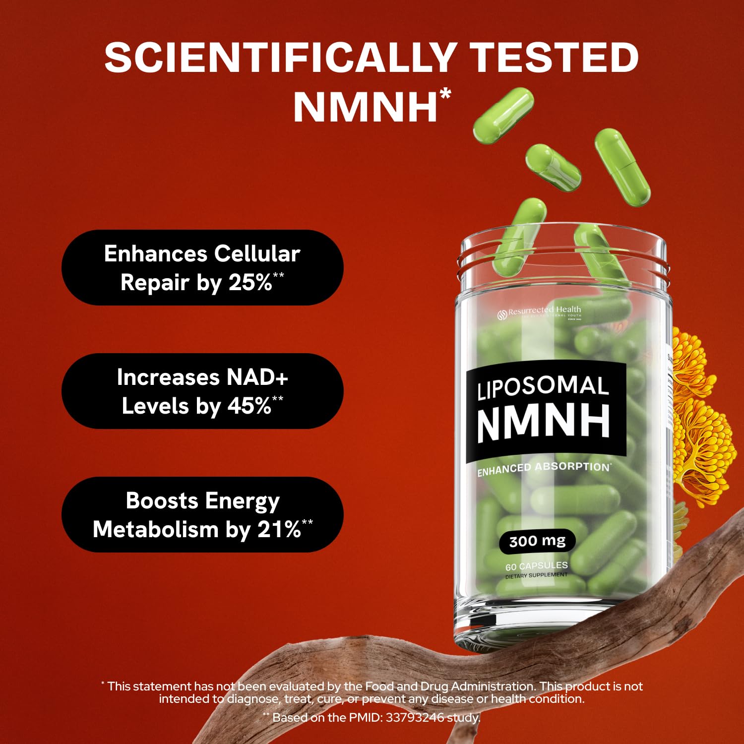 Resurrected Health Liposomal NMNH Supplement 300mg – Boosts NAD Anti-Aging, Energy & Focus – NMM Capsules Alternative to for Cellular Vitality – Third-Party Tested, 60 Vegan Capsules | 1 Pack - Maple Wellness Supplements
