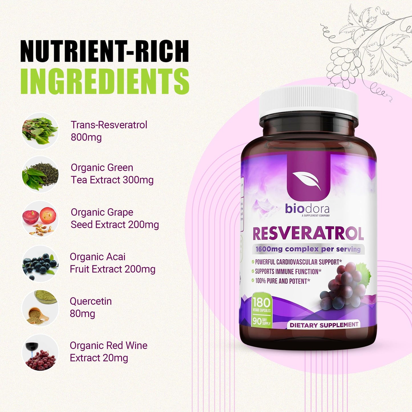 Resveratrol 1600mg - 180 Capsules | Trans-Resveratrol Antioxidant Supplement with Natural Green Tea, Grape Seed Polyphenols & Quercetin, Supports Digestive - Maple Wellness Supplements