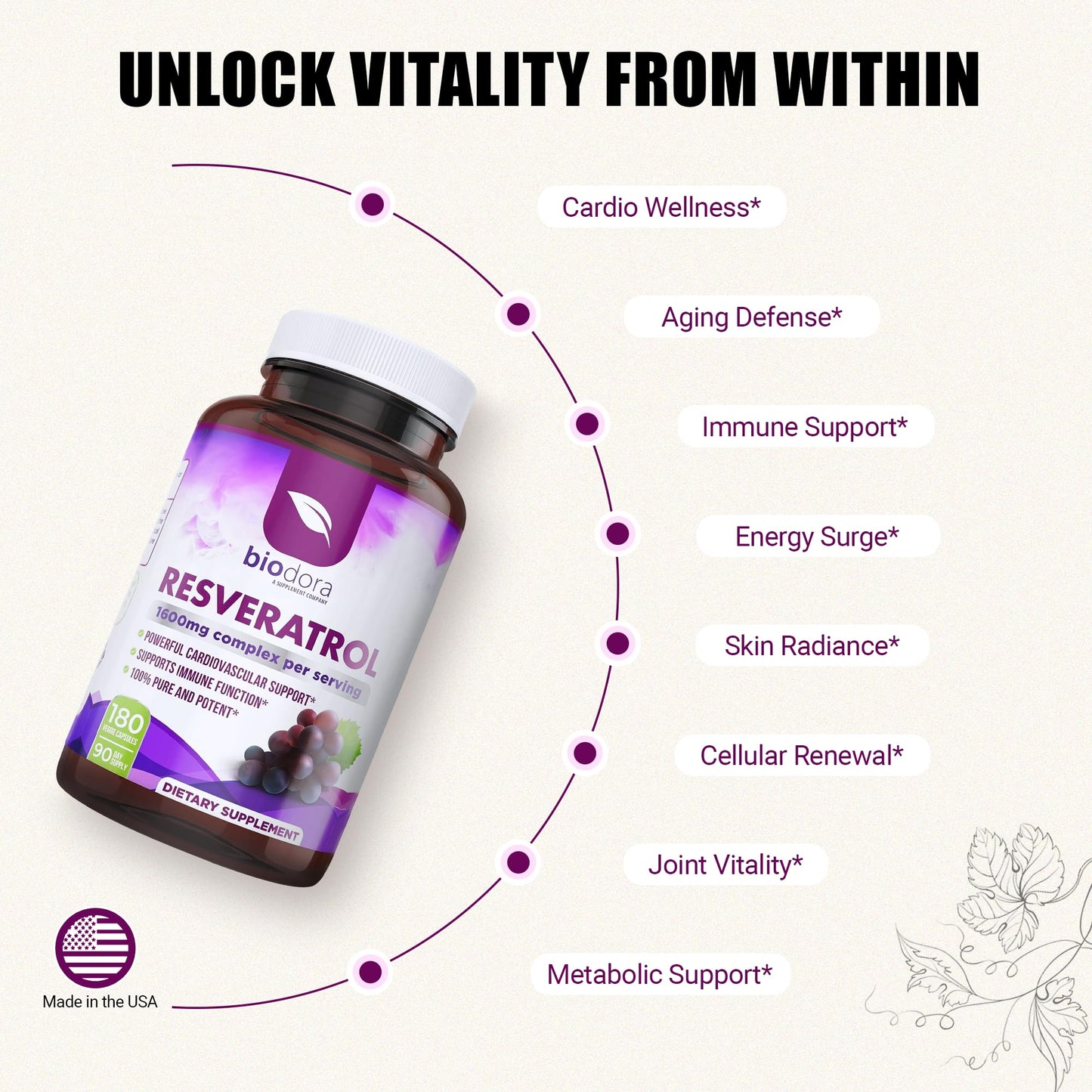 Resveratrol 1600mg - 180 Capsules | Trans-Resveratrol Antioxidant Supplement with Natural Green Tea, Grape Seed Polyphenols & Quercetin, Supports Digestive - Maple Wellness Supplements