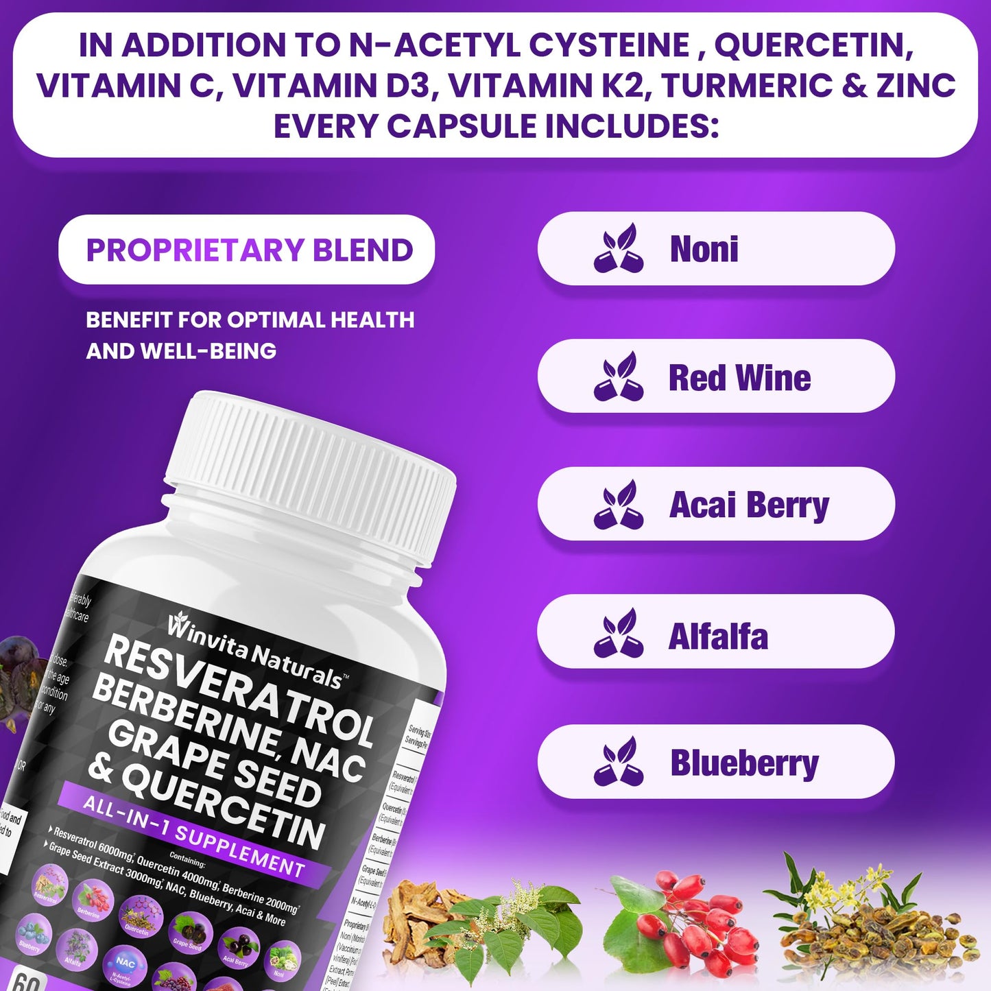 Resveratrol 6000mg Quercetin 4000mg Berberine 2000mg Grape Seed Extract 3000mg - Maple Wellness Supplements