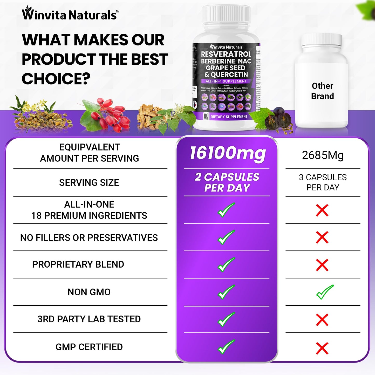 Resveratrol 6000mg Quercetin 4000mg Berberine 2000mg Grape Seed Extract 3000mg - Maple Wellness Supplements