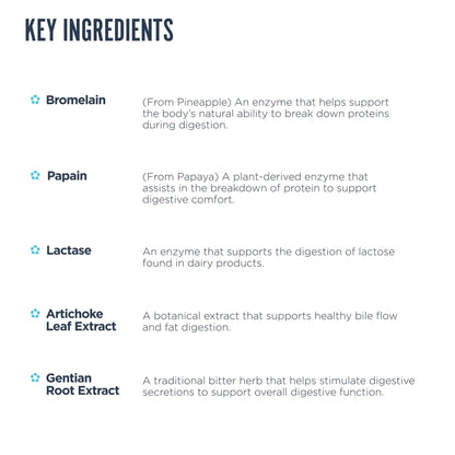 Revive MD Digest Aid, Digestive Support Supplement for Men & Women - Comprehensive Digestive Enzyme Blend with Probiotics & Prebiotics for Gut Health & Healthy Digestion - Maple Wellness Supplements