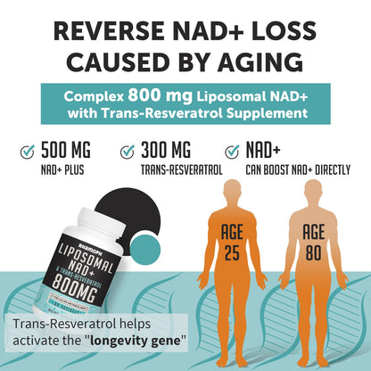 Rhamoph Liposomal NAD+ 800 mg with Trans-Resveratrol 300 mg, Max Absorption, Actual NAD+ Boosting Supplement for Healthy Aging, Cellular Energy, DNA Repair, Longevity - 120 Softgels - Maple Wellness Supplements