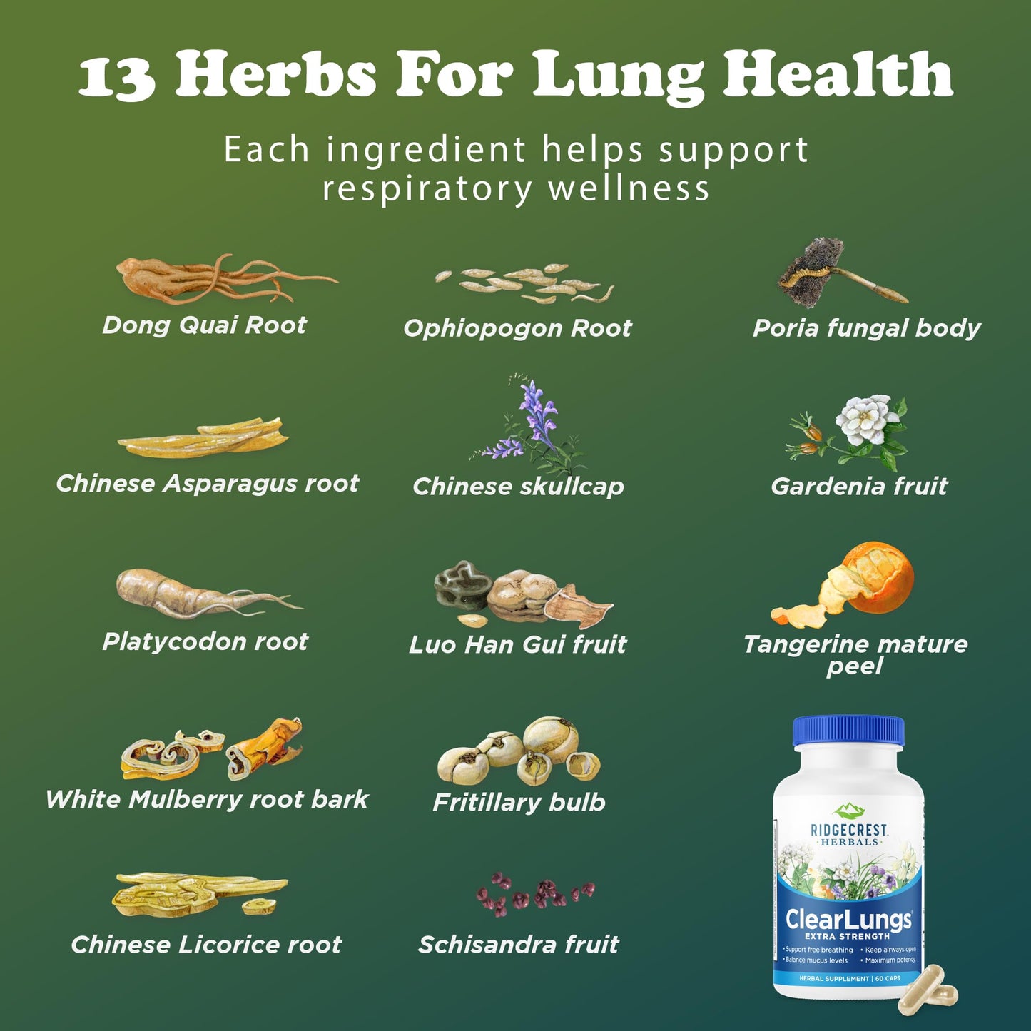 RidgeCrest Herbals ClearLungs Extra Strength, Daily Health Supplement, Natural Lung and Nasal Wellness Formula - Maple Wellness Supplements