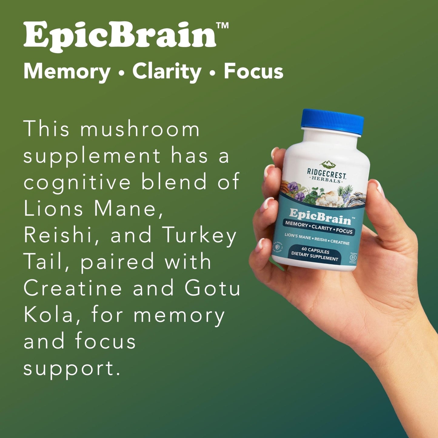 RidgeCrest Herbals EpicBrain, Natural Brain Support Supplement with Creatine Monohydrate, Lion's Mane, Reishi, Supports Mental Clarity, Memory, Focus, Stimulant-Free Nootropic (60 Count, 30 Servings) - Maple Wellness Supplements