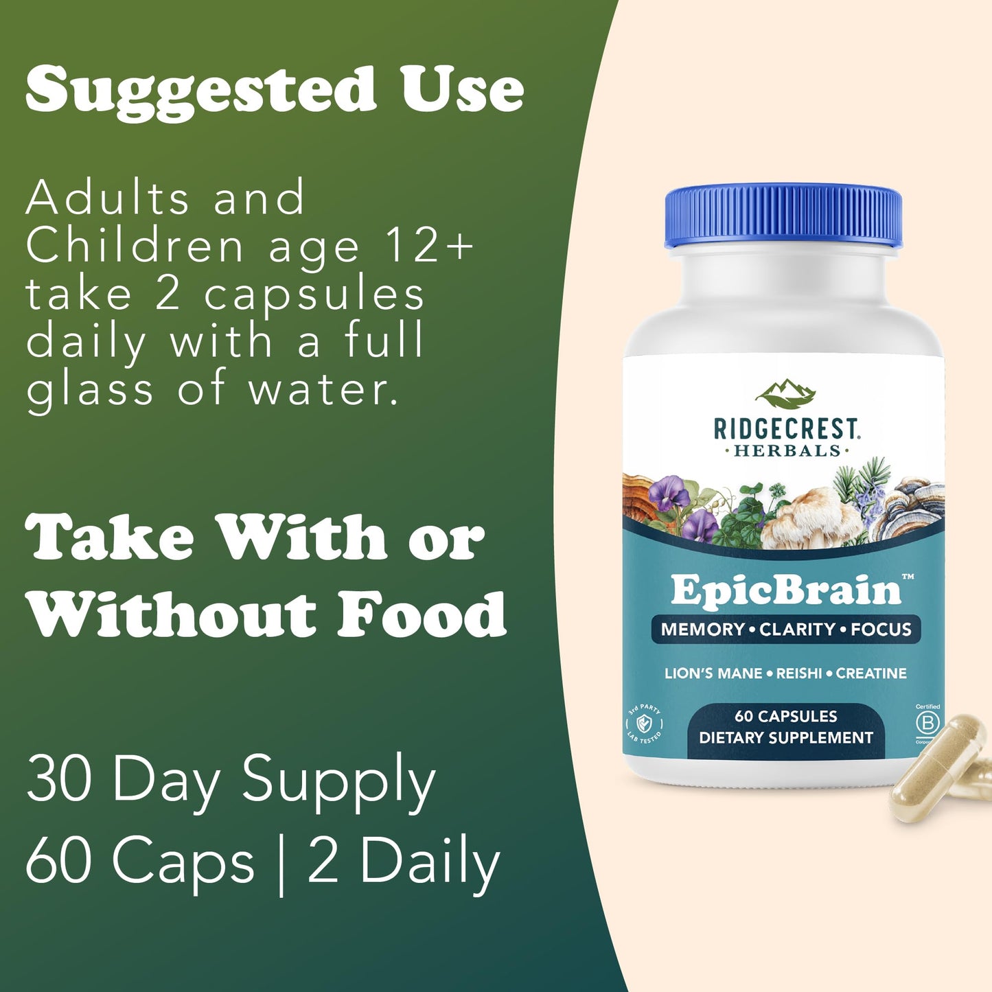 RidgeCrest Herbals EpicBrain, Natural Brain Support Supplement with Creatine Monohydrate, Lion's Mane, Reishi, Supports Mental Clarity, Memory, Focus, Stimulant-Free Nootropic (60 Count, 30 Servings) - Maple Wellness Supplements