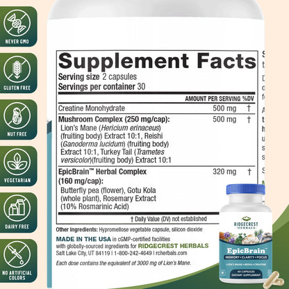 RidgeCrest Herbals EpicBrain, Natural Brain Support Supplement with Creatine Monohydrate, Lion's Mane, Reishi, Supports Mental Clarity, Memory, Focus, Stimulant-Free Nootropic (60 Count, 30 Servings) - Maple Wellness Supplements