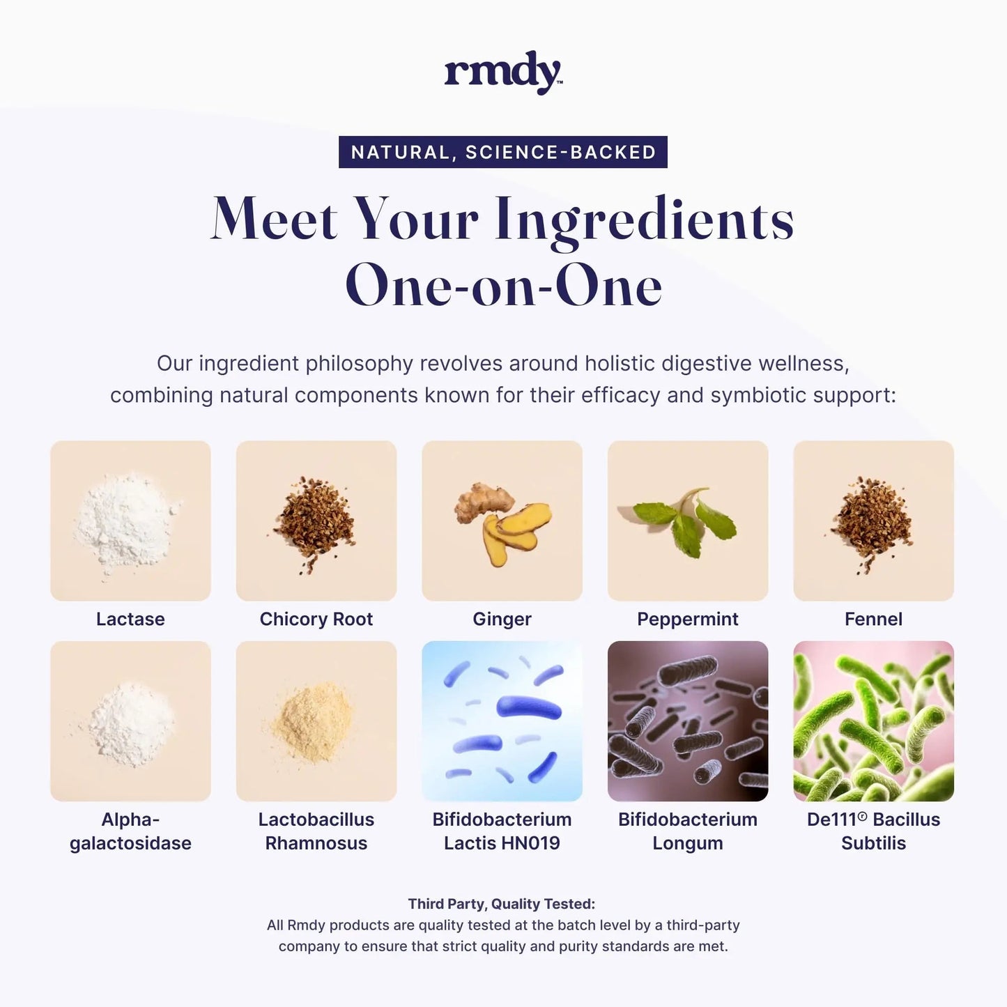 rmdy Constipation, Bloating, & Gas Relief | Relief from Diarrhea, & IBS | Probiotic for Digestive Health & Gut | 30 Capsules - Maple Wellness Supplements