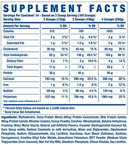 Ronnie Coleman Signature Series King Mass XL Protein Powder, Weight and Muscle Gainer - Maple Wellness Supplements