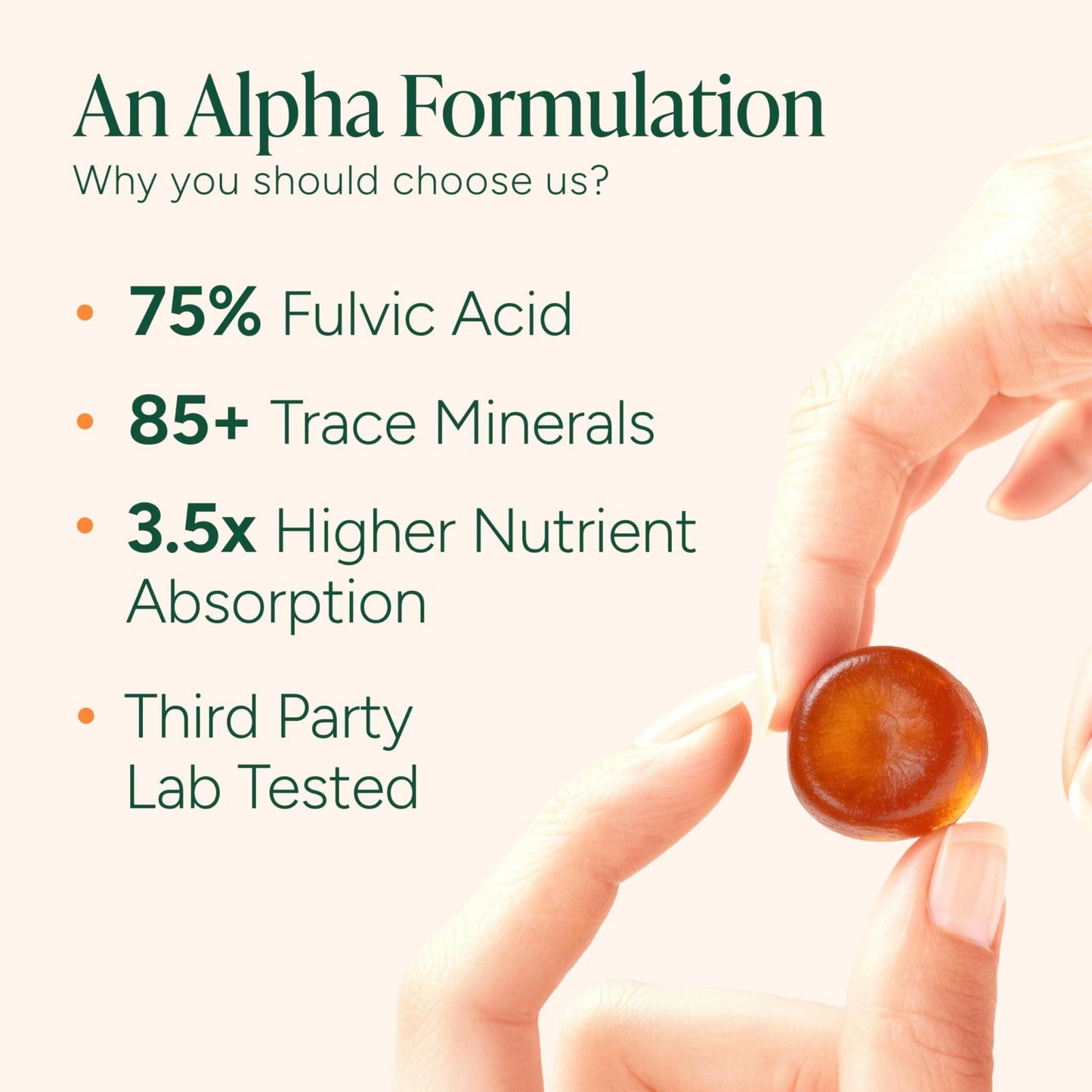 ROOT LABS 10-in-1 Alpha Shilajit Gummies | 4000 mg Pure Himalayan Shilajit with Tongkat Ali & Maca Root | Shilajit for Men & Women | ShilAbsorb Bioavailability Tech - Maple Wellness Supplements