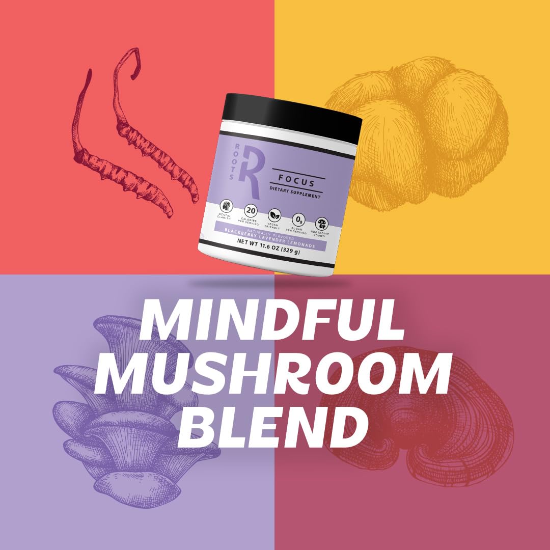 Roots Focus Brain Supplement - Nootropic Mushroom Supplement Powder for Memory, Focus, Energy - Lion's Mane, Cordyceps, and Reishi Mushrooms with Caffeine - Blackberry Lemonade, 15 On the Go Packets - Maple Wellness Supplements