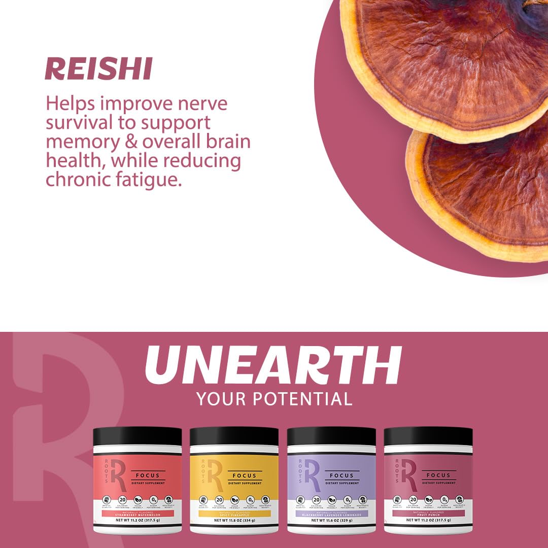 Roots Focus Brain Supplement - Nootropic Mushroom Supplement Powder for Memory, Focus, Energy - Lion's Mane, Cordyceps, and Reishi Mushrooms with Caffeine - Blackberry Lemonade, 15 On the Go Packets - Maple Wellness Supplements
