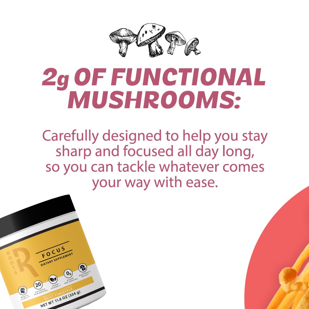Roots Focus Brain Supplement - Nootropic Mushroom Supplement Powder for Memory, Focus, Energy - Lion's Mane, Cordyceps, Reishi Mushrooms with Caffeine - Blackberry Lemonade, 11.6oz Tub (50 Servings) - Maple Wellness Supplements