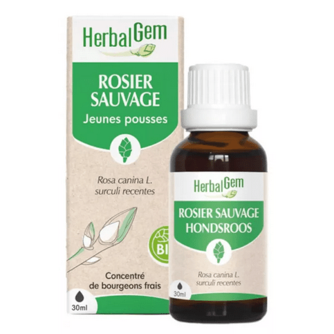 Rosier sauvage BIO Macérat mère jeunes pousses Flacon 30 ml HERBALGEM - Maple Wellness Supplements