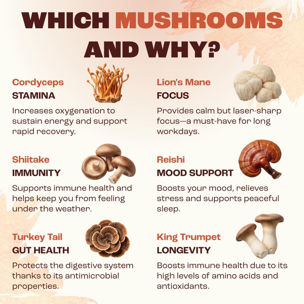 RYZE SUPERFOODS Mushroom Medium Roast Coffee USDA Organic with 6 Adaptogenic Mushrooms, USA Grown Instant Coffee for Better Energy - Maple Wellness Supplements