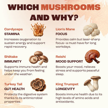 RYZE SUPERFOODS Mushroom Medium Roast Coffee USDA Organic with 6 Adaptogenic Mushrooms, USA Grown Instant Coffee for Better Energy - Maple Wellness Supplements