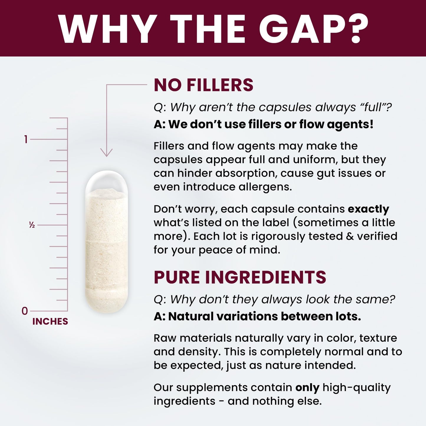 Saccharomyces Boulardii Probiotics 10 Billion CFU Made in USA | No Fillers Patented Strain: Lynside CNCM I-3799 Probiotics for Men and Women - Maple Wellness Supplements