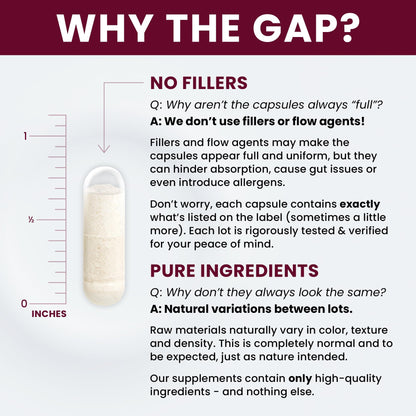 Saccharomyces Boulardii Probiotics 10 Billion CFU Made in USA | No Fillers Patented Strain: Lynside CNCM I-3799 Probiotics for Men and Women - Maple Wellness Supplements