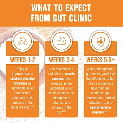 Salt Wrap Gut Clinic – Postbiotics for Digestive Symptoms, Complete Gut Health - Maple Wellness Supplements