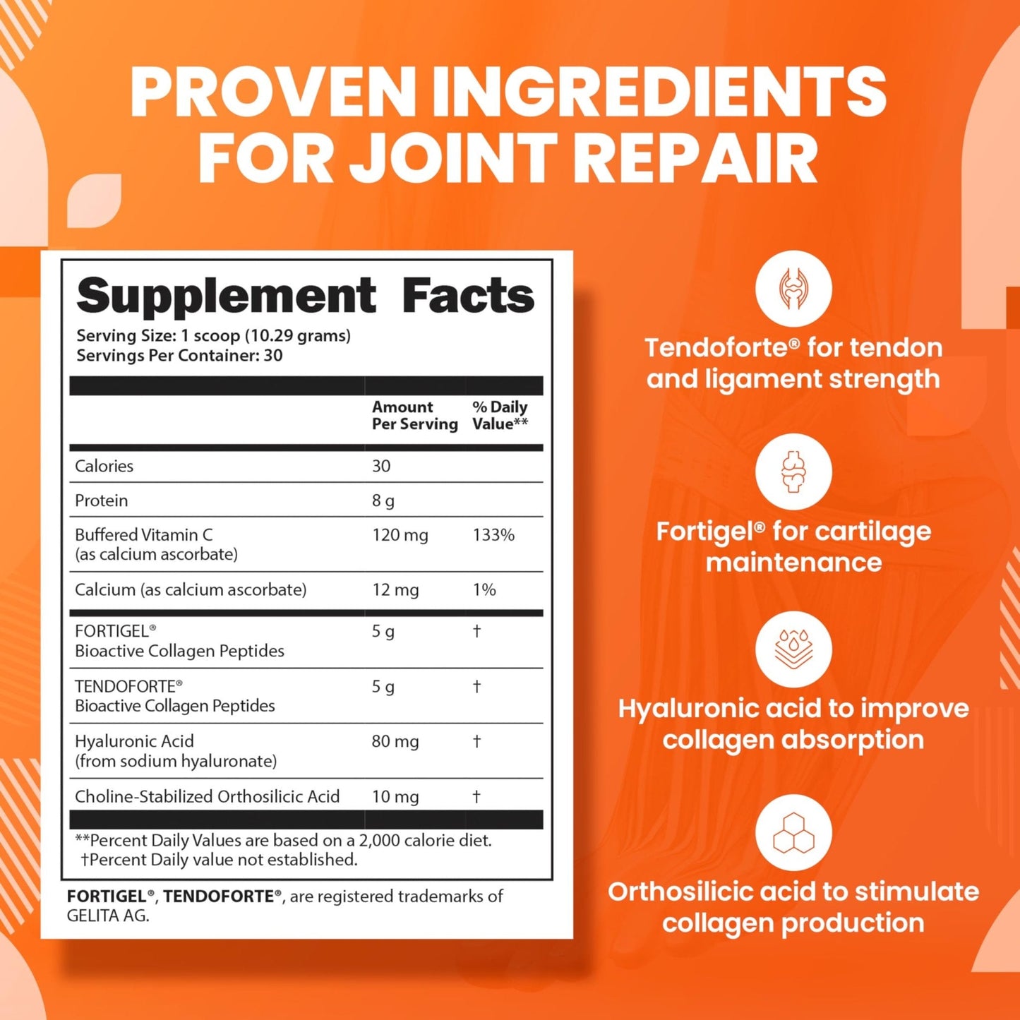 SaltWrap Collagen Synthesis - Collagen Peptides for Joints with Fortigel, Tendoforte, Best Collagen Powder for Tendons, Ligaments - Maple Wellness Supplements
