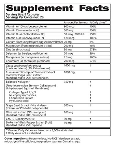 SaltWrap Joint Clinic - Joint Health Multivitamin Supplement - Tendon, Ligament, Cartilage - Maple Wellness Supplements