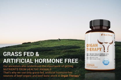SaltWrap Organ Therapy - Grass Fed Beef Organ Meat Complex Supplement with Organic - Maple Wellness Supplements