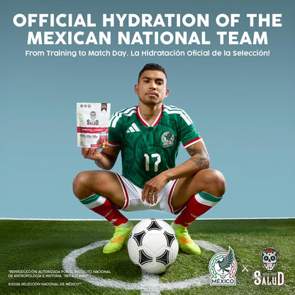 Salud 2-in-1 Hydration Packets + Immunity Electrolytes Powder, Horchata - Agua Fresca Drink Mix, Elderberry, Dairy & Soy Free, Non-GMO, Gluten Free, Vegan - Maple Wellness Supplements
