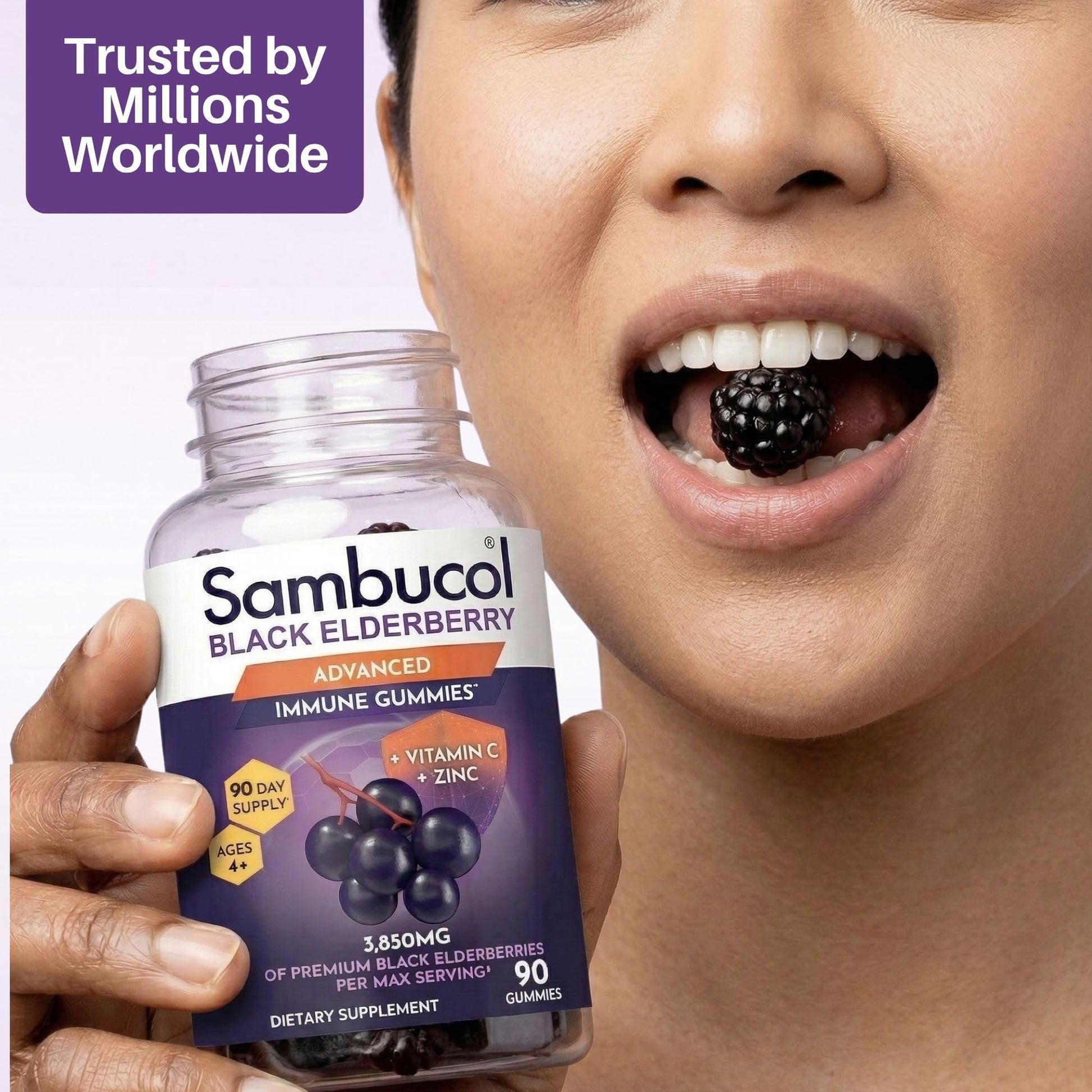 Sambucol Elderberry Gummies - Immune Support Supplement for Adults & Kids with Vitamin C & Zinc, Sambucol Elderberry - Maple Wellness Supplements