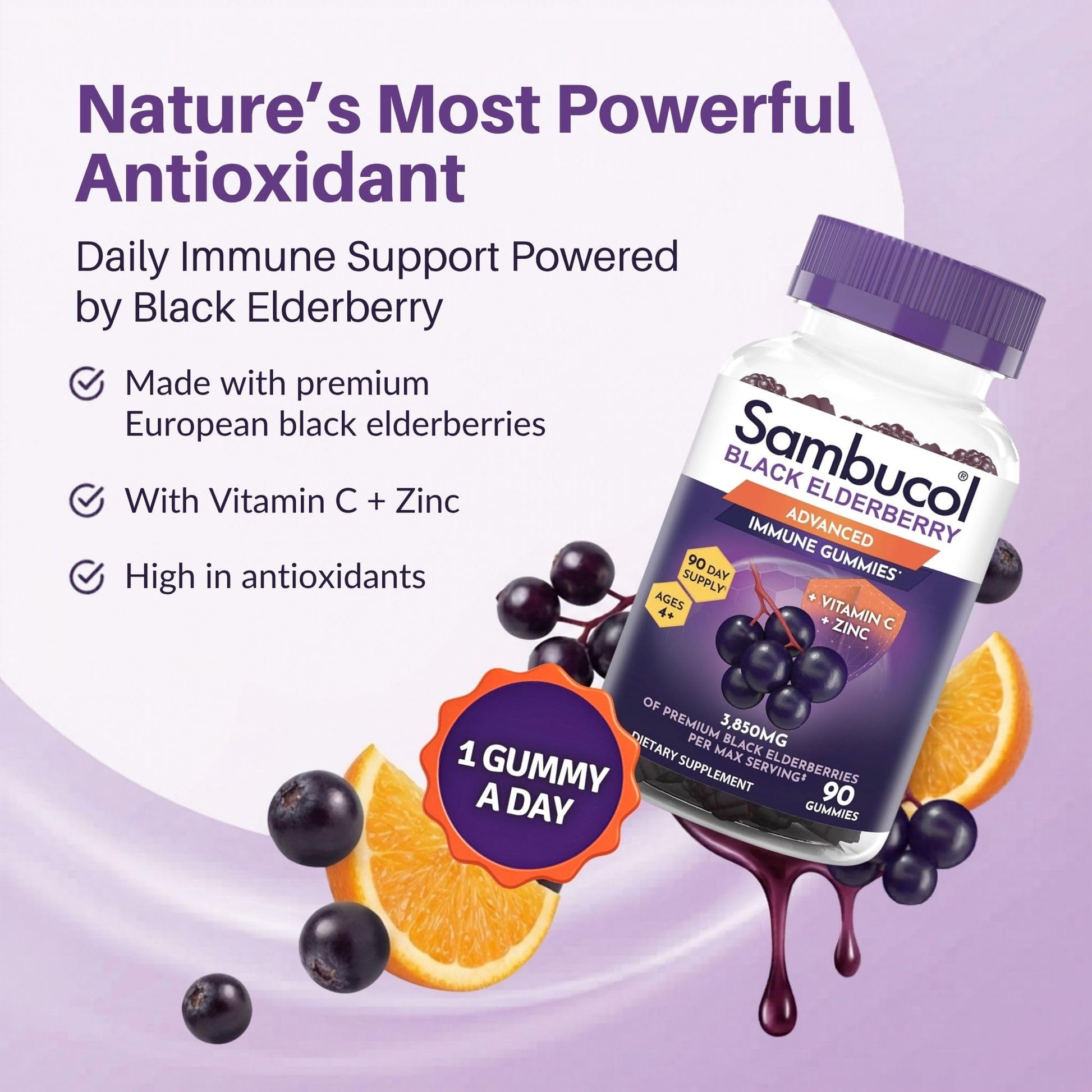 Sambucol Elderberry Gummies - Immune Support Supplement for Adults & Kids with Vitamin C & Zinc, Sambucol Elderberry - Maple Wellness Supplements