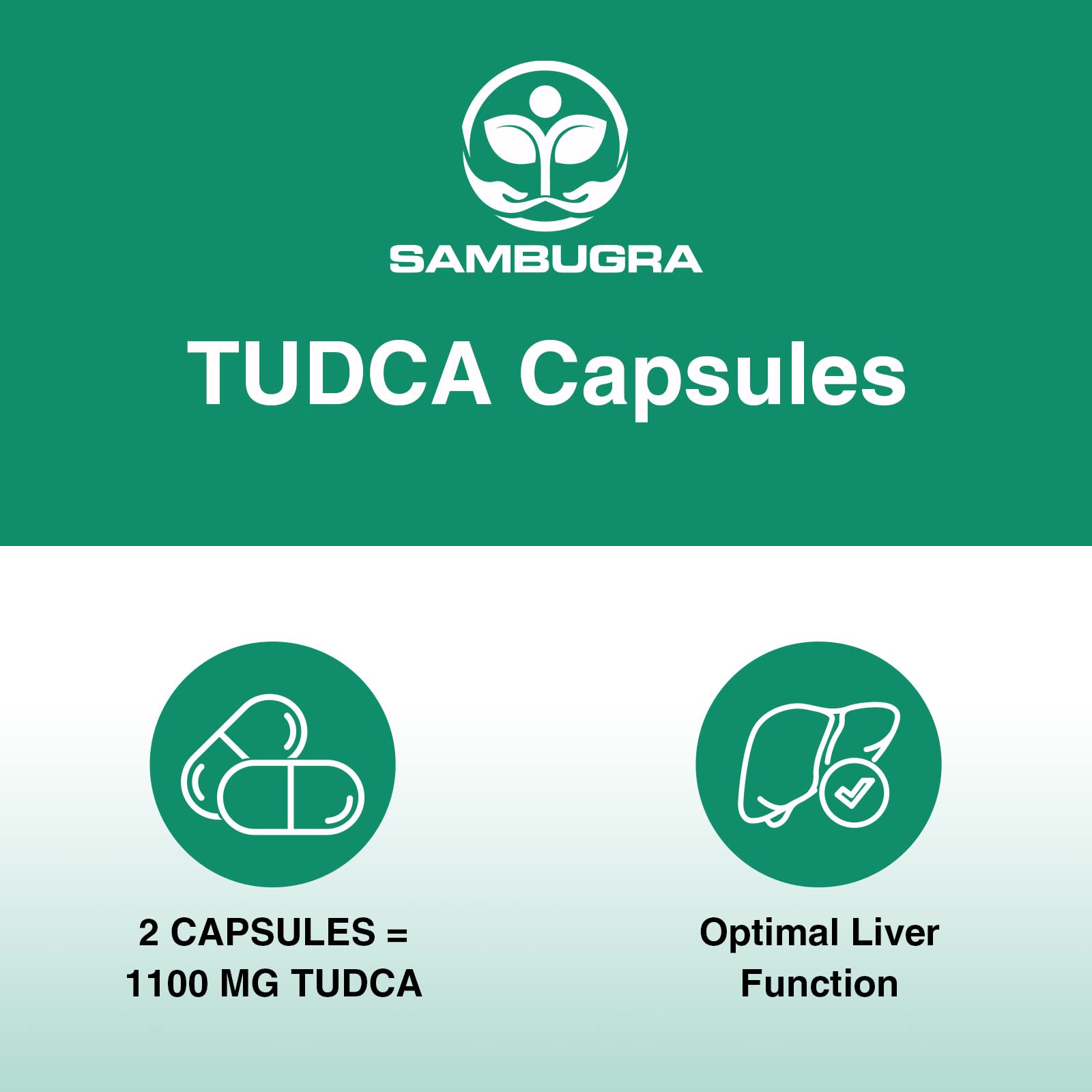 Sambugra TUDCA Liver Supplements 1100mg, 3rd Party Tested Ultra Strength Bile Salt TUDCA Supplement, Liver Support for Detox - Maple Wellness Supplements