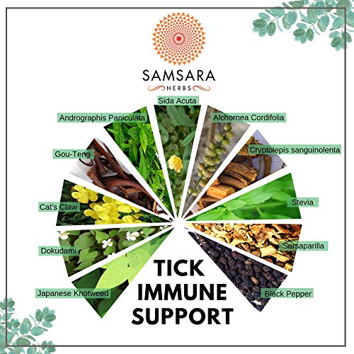 Samsara Herbs Tick Immune Support - The Original Herbal Formula (240 Capsules) - Maple Wellness Supplements