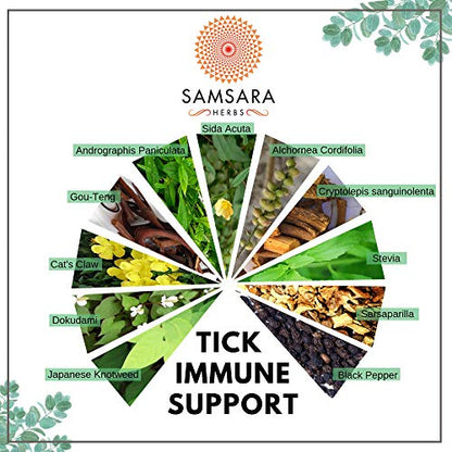 Samsara Herbs Tick Immune Support - The Original Herbal Formula (240 Capsules) - Maple Wellness Supplements