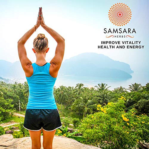 Samsara Herbs Tick Immune Support - The Original Herbal Formula (240 Capsules) - Maple Wellness Supplements