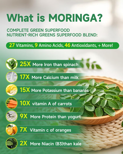 SANSICE Organic Moringa Supplement, Liquid Moringa Leaf Extract for Women & Men, Lymphatic Drainage Supplement with Echinacea for Lymph System Support - Maple Wellness Supplements