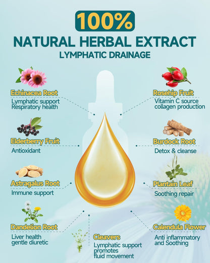SANSICE Organic Moringa Supplement, Liquid Moringa Leaf Extract for Women & Men, Lymphatic Drainage Supplement with Echinacea for Lymph System Support - Maple Wellness Supplements