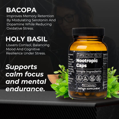 Santa Cruz Paleo Nootropic Capsules – Lions Mane, Alpha GPC, Panax Ginseng & Ginkgo Biloba for Focus, Memory, Mental Clarity & Energy – Keto, Paleo, Gluten Free Brain Supplement, 60 Caps - Maple Wellness Supplements
