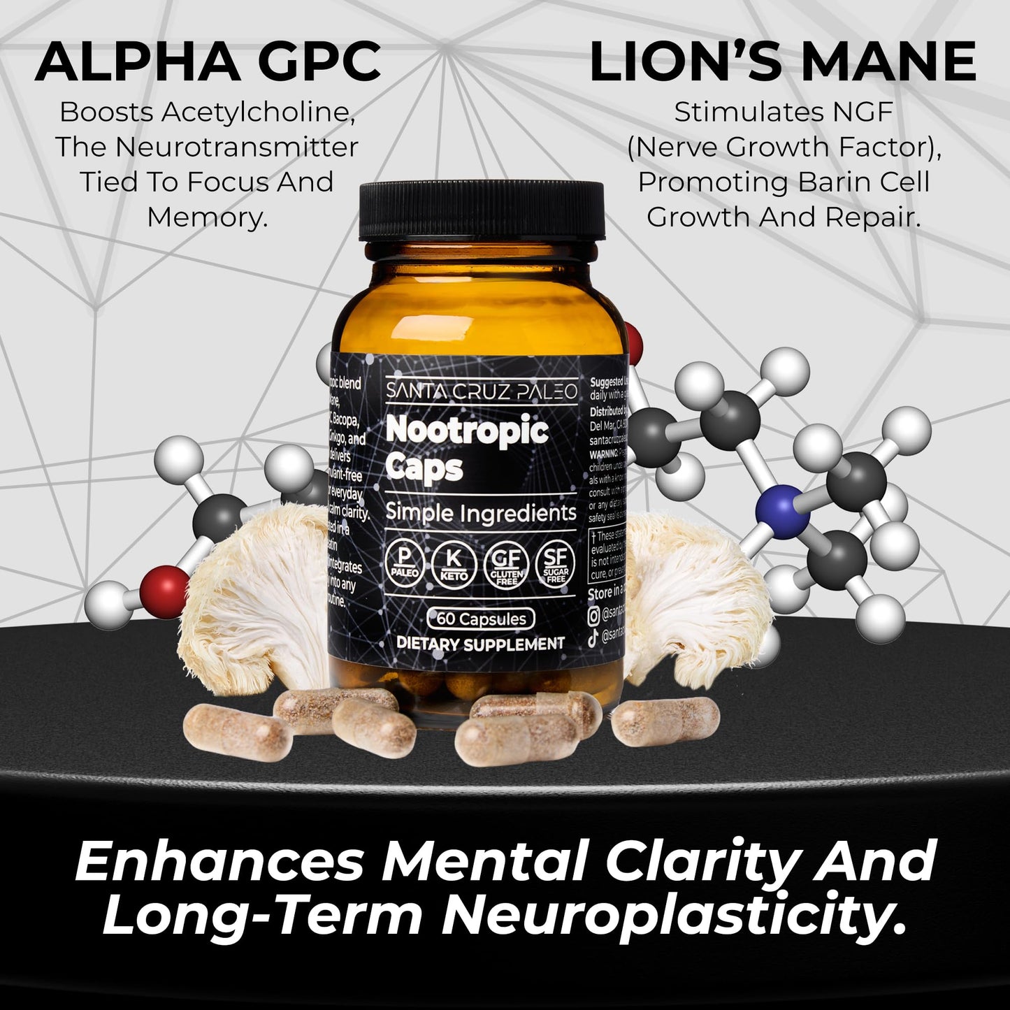 Santa Cruz Paleo Nootropic Capsules – Lions Mane, Alpha GPC, Panax Ginseng & Ginkgo Biloba for Focus, Memory, Mental Clarity & Energy – Keto, Paleo, Gluten Free Brain Supplement, 60 Caps - Maple Wellness Supplements