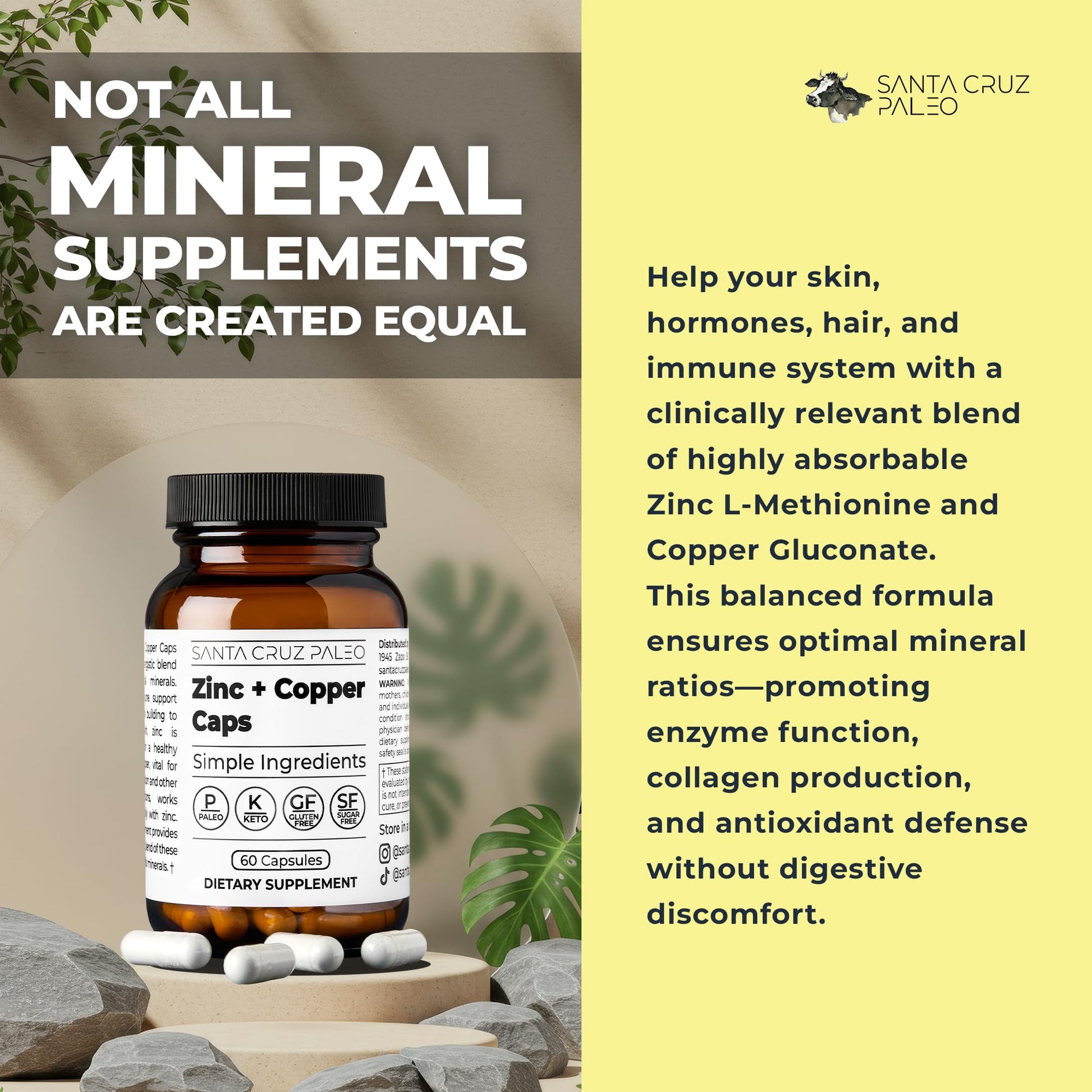 Santa Cruz Paleo, Zinc & Copper Mineral Supplement, High Absorption Formula, Zinc Supplement for Skin & Hair, L Methionine, Copper Gluconate, Trace Minerals - Maple Wellness Supplements