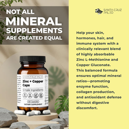 Santa Cruz Paleo, Zinc & Copper Mineral Supplement, High Absorption Formula, Zinc Supplement for Skin & Hair, L Methionine, Copper Gluconate, Trace Minerals - Maple Wellness Supplements