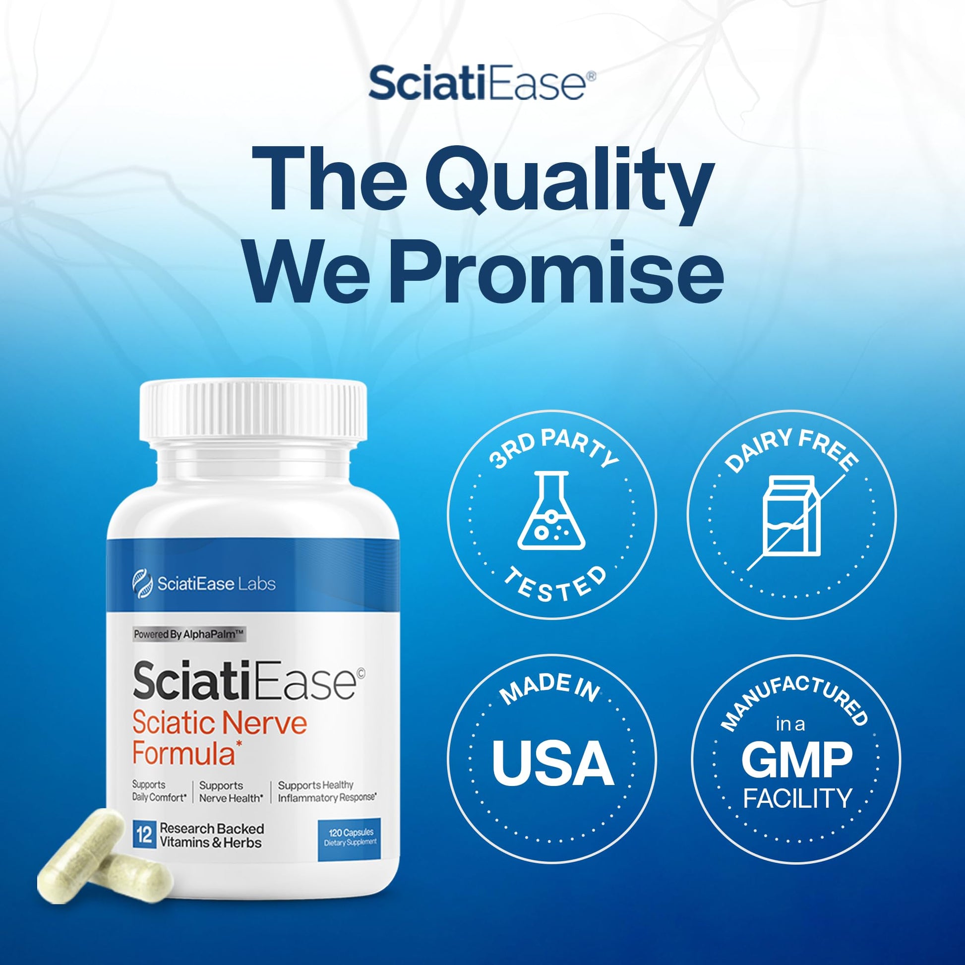 SciatiEase Sciatic Nerve Health Support Supplement - Nerve Support Formula with AlphaPalm, Pea, Vitamin B Complex, Alpha Lipoic Acid 300mg - 3 Bottles - Maple Wellness Supplements